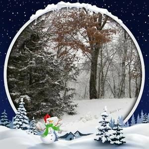 Meet your Posher, Jessie